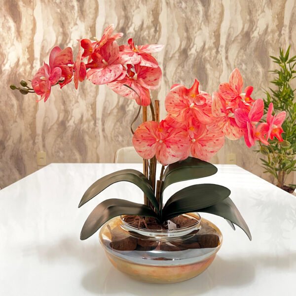 Arranjo de Orquídea Pêssego Phalaenopsis